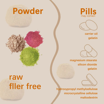 Lion's Mane Powder | Gorgeousgardenskin