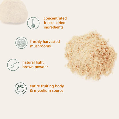 Lion's Mane Powder | Gorgeousgardenskin