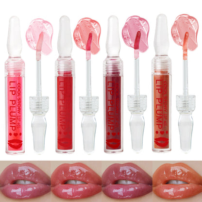 Nourishing Plumping Lip Gloss | Gorgeousgardenskin